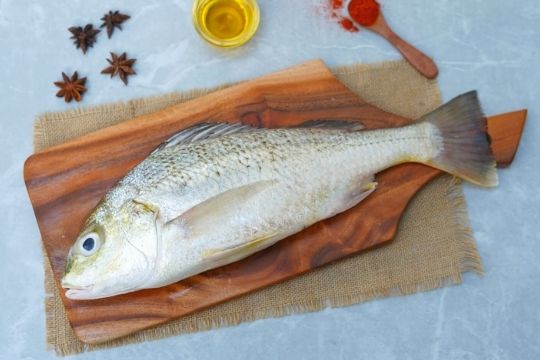 https://www.freshma.in/sea-fish/perch-korkai-white-koduva-very-big-size-includes-head-tail