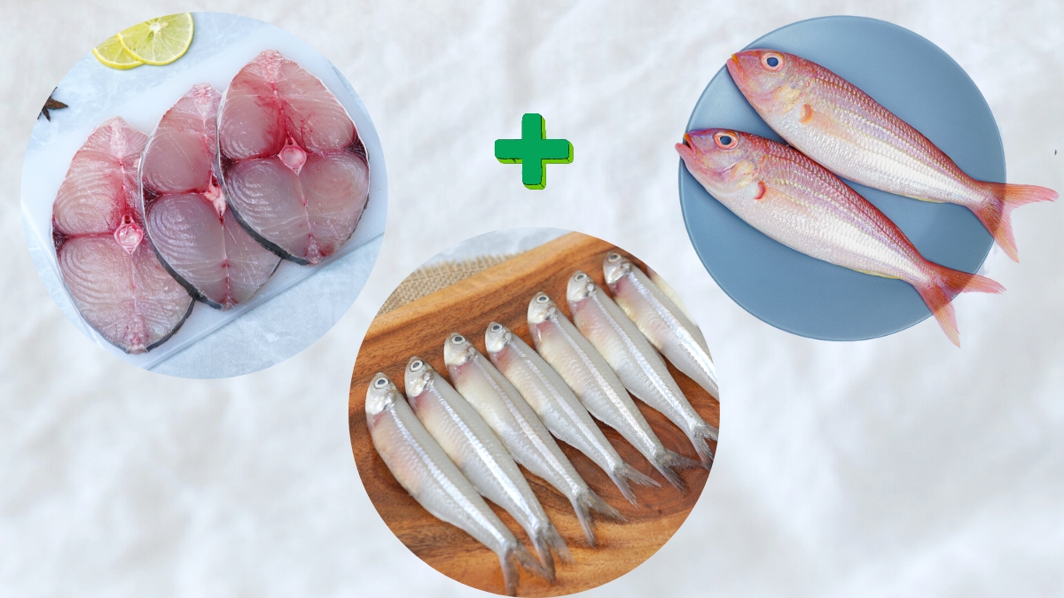 Seer (500 G) / Sankara (500 G) / Nethili (500 G) 500 Gram Gross weight