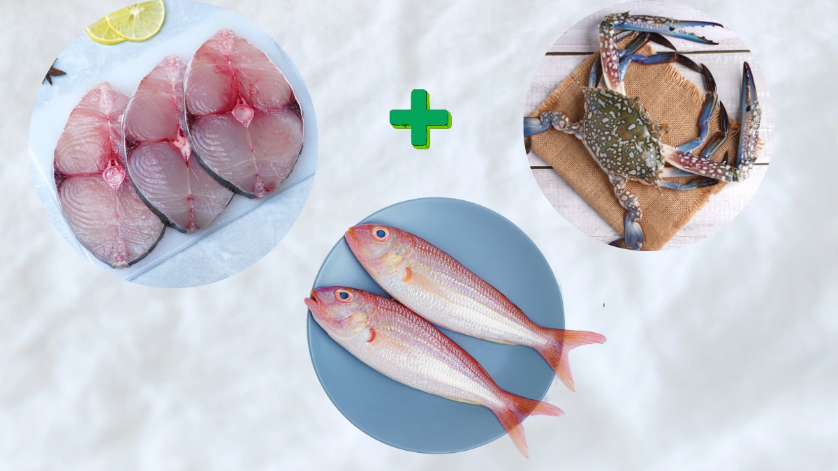 Seer (500 G) / Sankara (500 G) / Crab BL (500 G)