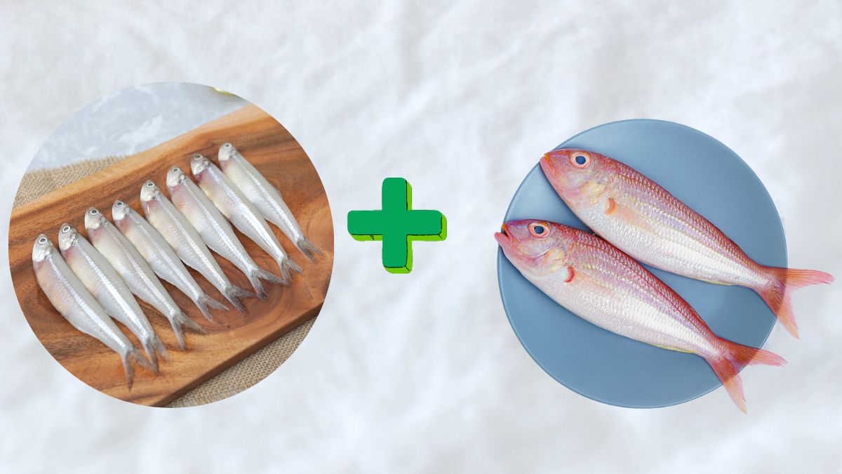 Nethili  (500 gram gross weight ) + Sankara (500 gram gross weight)