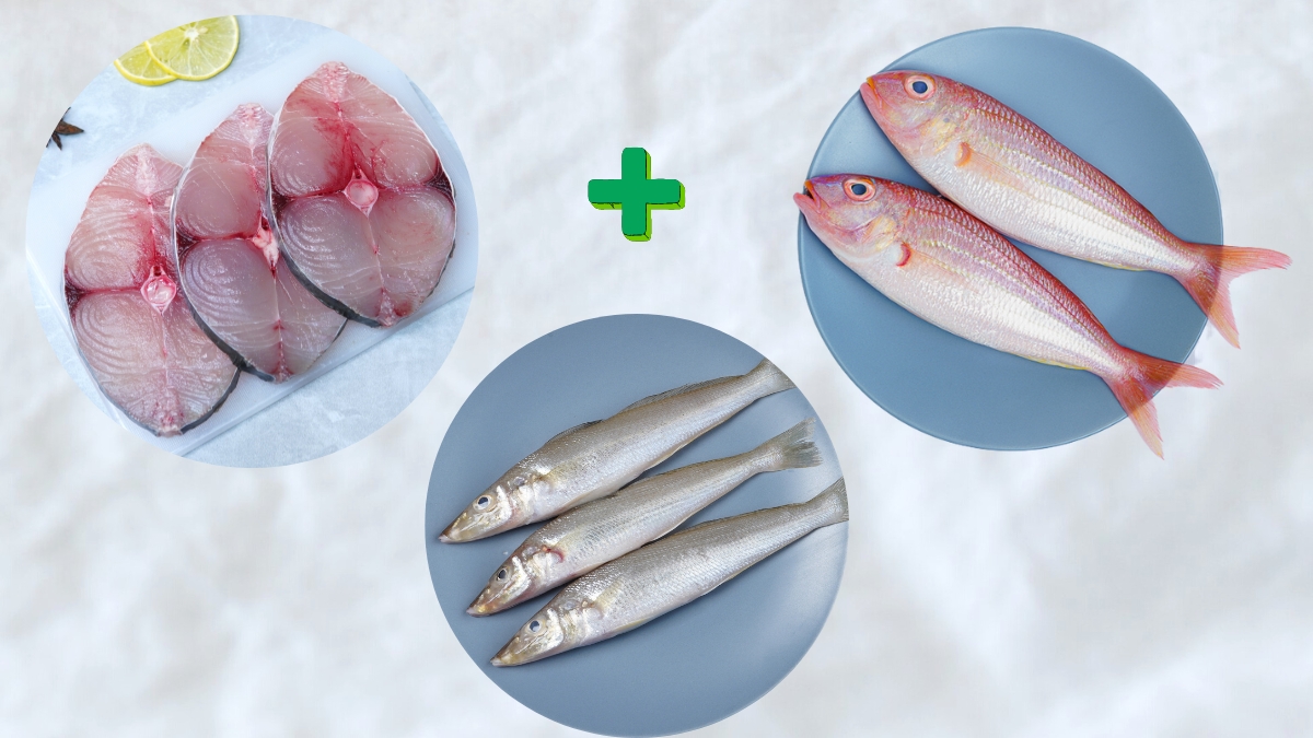 Seer Slice (500 G) / Sankara (500 G) / Kilangan (500 G)