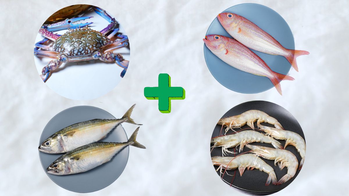Sankara (500 G) / Crab BL (500 G) / Small Prawn (Deshelled)  (500 G) / Ayla (500 G)