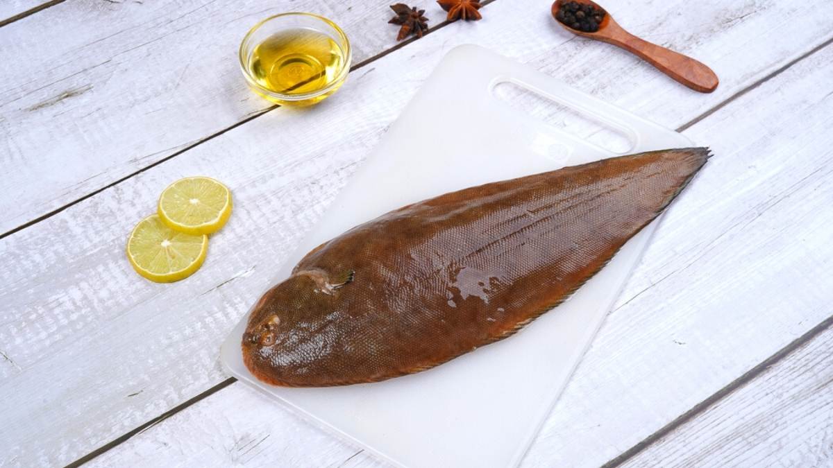 https://www.freshma.in/sea-fish/sole-fish-big